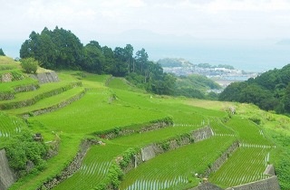棚田・段々畑の夢占い