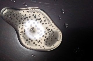 アメーバ・粘菌・ゲル状生命体の夢占い