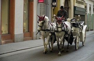 馬車の夢占い