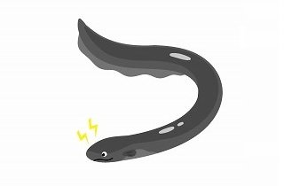 電気ウナギの夢占い