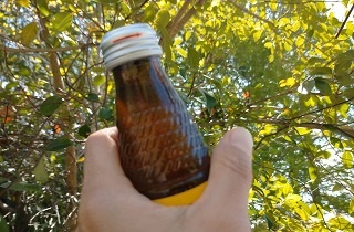 栄養ドリンクの夢占い