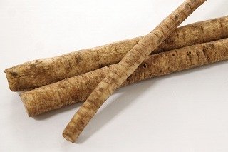 ごぼうの夢占い