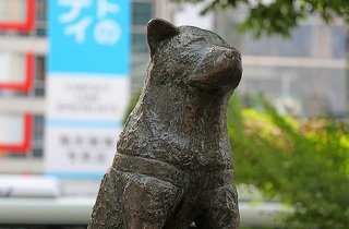 忠犬ハチ公像の夢占い