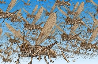 虫の大量発生・蝗害の夢占い