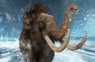 マンモスの夢占い