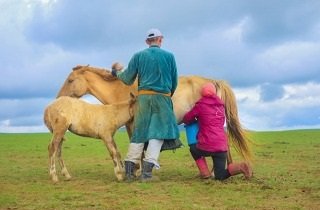 遊牧民の夢占い