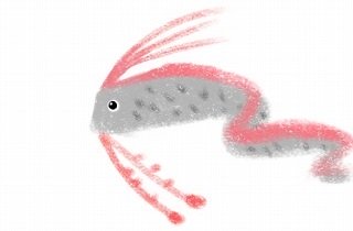 リュウグウノツカイの夢占い