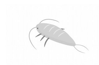 紙魚（しみ）の夢占い