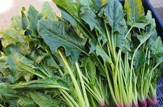 ほうれん草の夢占い