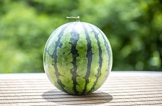 スイカの夢占い