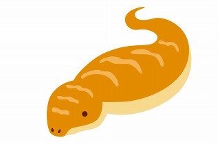 ツチノコの夢占い