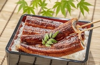 うな重・うな丼の夢占い