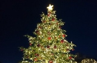 クリスマスツリーの夢占い