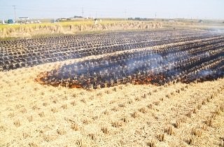 地面が燃える・野焼き・焼畑の夢占い
