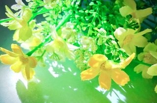 人工観葉植物・造花の夢占い